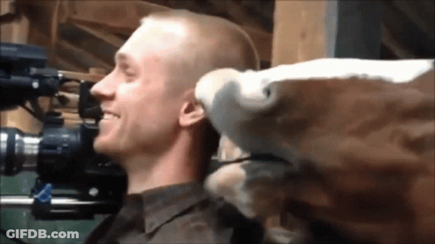 Horse Chewing Camera Man Ears GIF