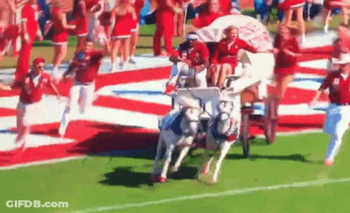 Horse Drawn Carriage Carrying People GIF