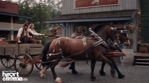 Horse Drawn Carriage Heart And Home GIF