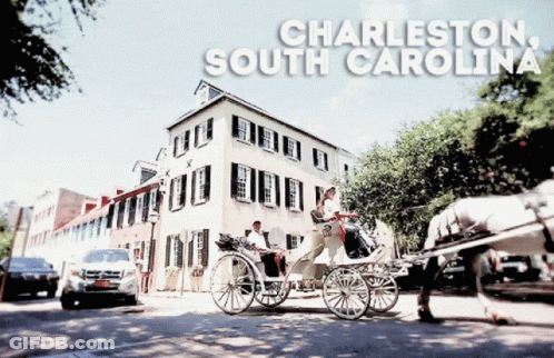 Horse Drawn Carriage In Charleston South Carolina GIF