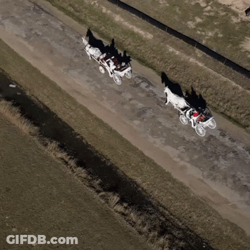 Horse Drawn Carriage On Dirt Road GIF