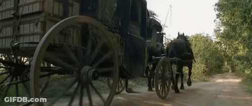 Horse Drawn Carriage On Dirt Road GIF