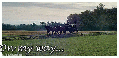 Horse Drawn Carriage On My Way GIF