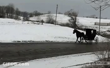Horse Drawn Carriage On Snowy Road GIF