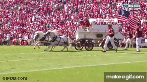 Horse Drawn Carriage Pulled On Football Field GIF