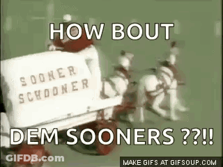 Horse Drawn Carriage Saying How Bout Dem Sooners GIF