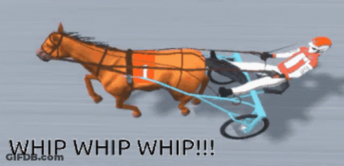 Horse Drawn Carriage Whip Whip Whip GIF