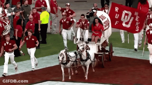 Horse Drawn Carriage With Texas Tech Banner GIF