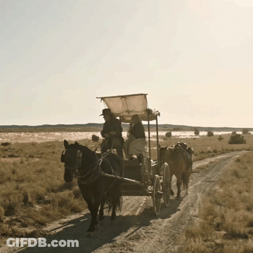 Horse Drawn Carriage With Two People GIF