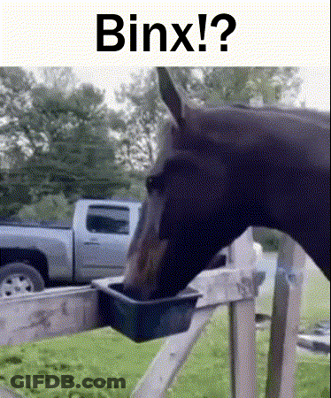 Horse Drinking Water From Bucket GIF
