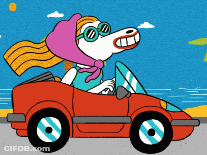 Horse Driving A Car GIF