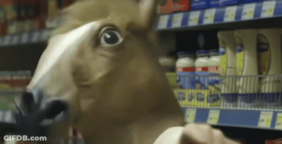 Horse Face Neigh Strongly GIF
