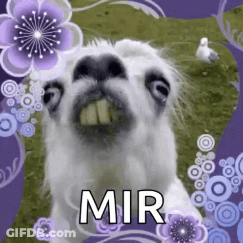 Horse Face With Purple Flowers Saying Mir GIF