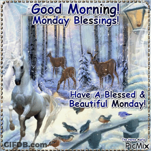 Horse Good Morning Monday Blessings GIF