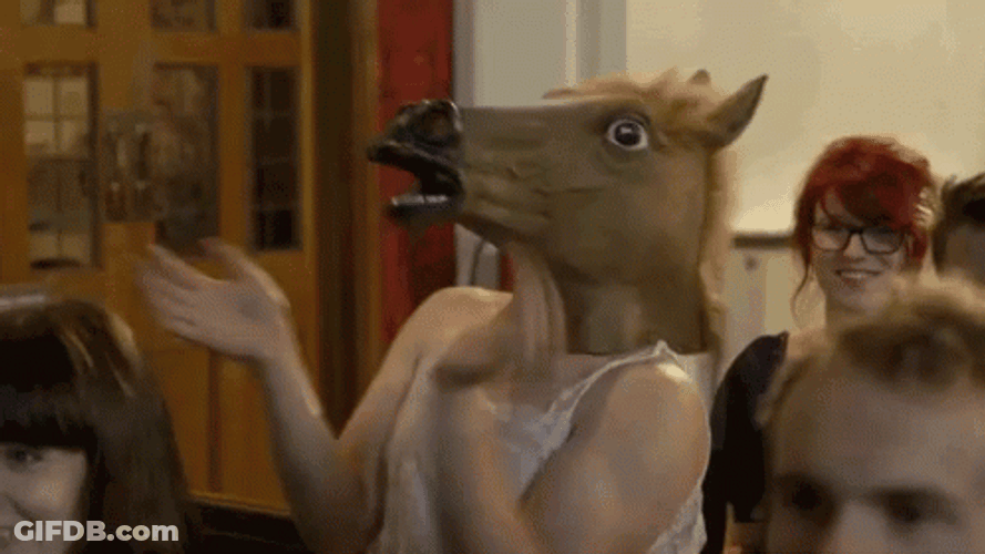 Horse Head Costume Neigh GIF