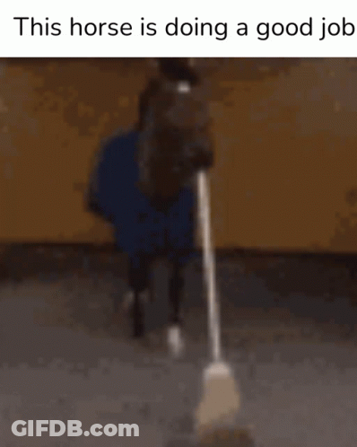 Horse Holding Mop Saying This Horse Is Doing A Good Job GIF