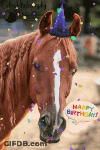 Horse In Birthday Hat With Happy Birthday Bubble GIF