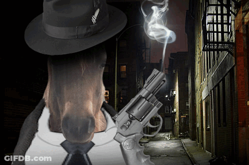 Horse In Hat And Tie Holding Gun With Smoke GIF