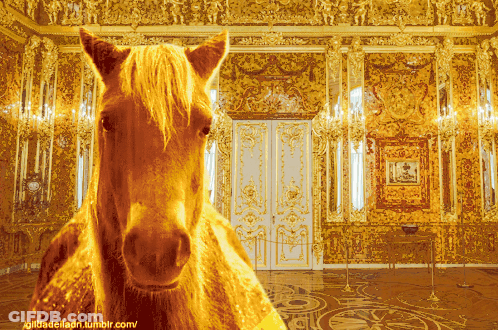 Horse In Room Giltradeladr Tumblr GIF
