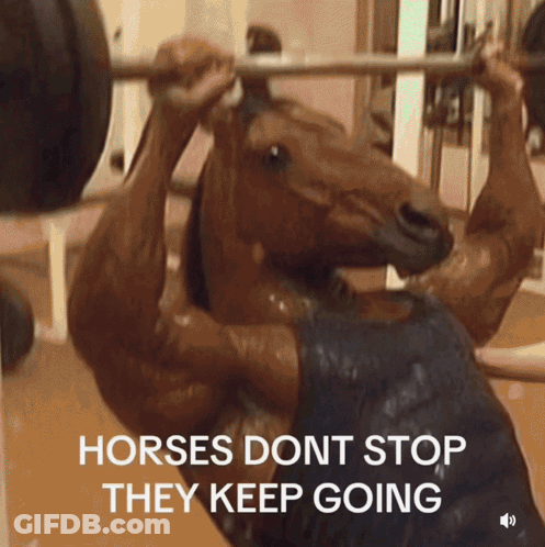 Horse Lifting Barbell Horses Dont Stop They Keep Going GIF