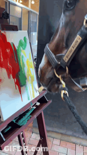 Horse Looking At Painting With Hunter Eagle Halter GIF