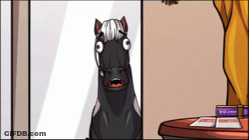 Horse Looking Out Window Next To No Smoking Box GIF