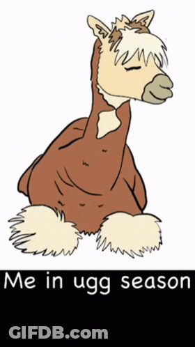 Horse Me In Ugg Season GIF