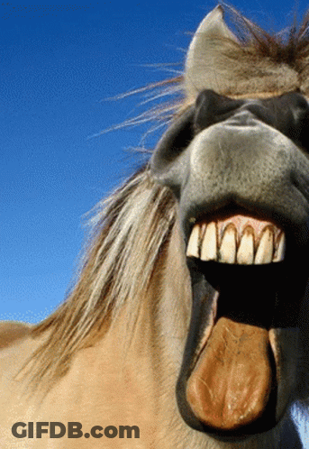 Horse Mouth With Tongue Out GIF