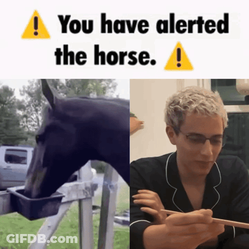 Horse Next To Man Eating GIF