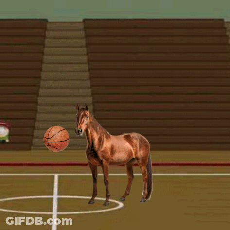 Horse Playing Basketball With Cow On Wall GIF
