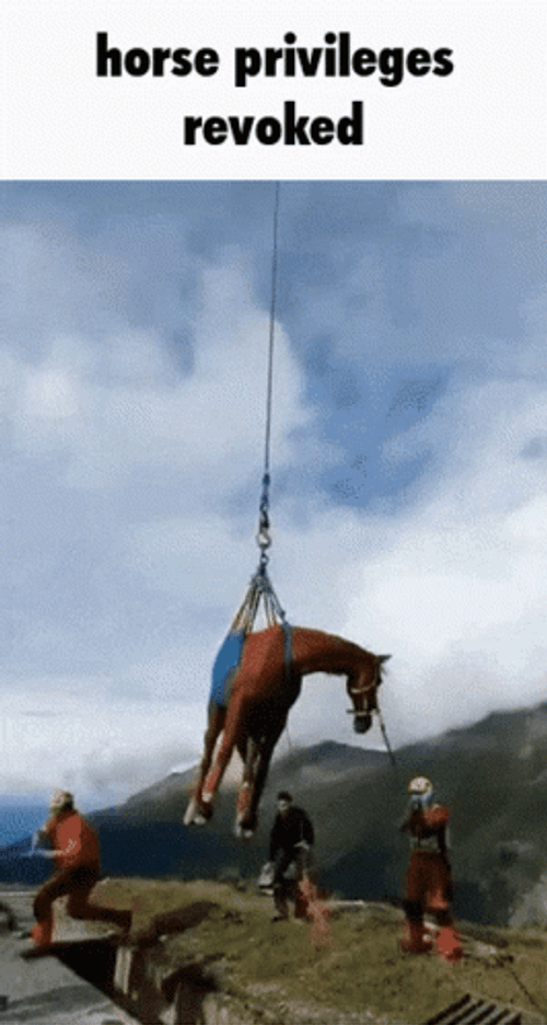 Horse Privileges Revoked Helicopter Meme GIF