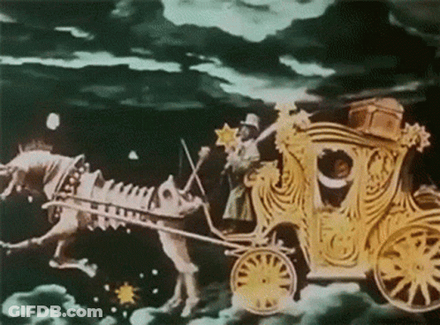 Horse Pulling Carriage With Woman GIF