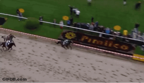 Horse Race With Pimico Sign GIF