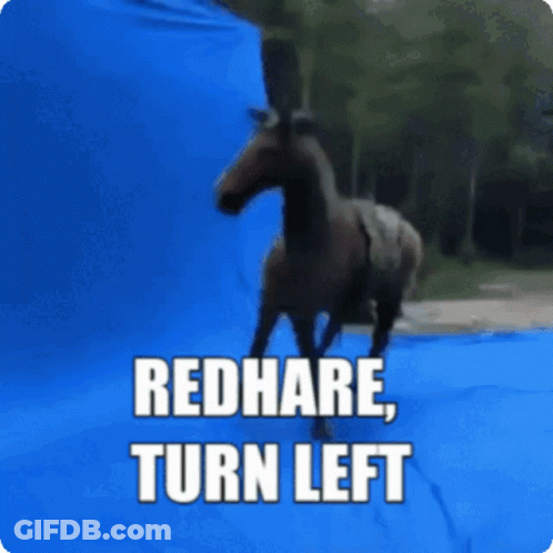 Horse Redhare Turn Left GIF