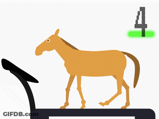 Horse Running Fall On Treadmill GIF
