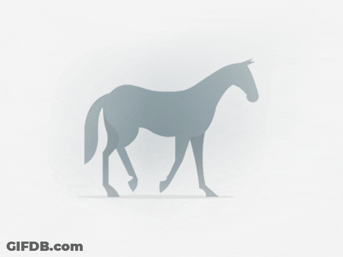 Horse Running Selaria Vertentes GIF