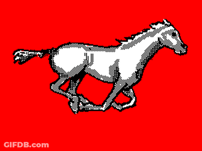 Horse Running Stallion GIF