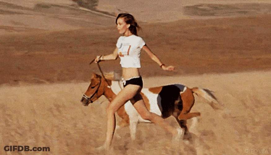 Horse Running Wild Loop GIF