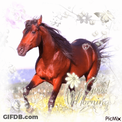 Horse Saying Good Morning GIF