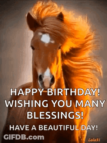 Horse Saying Happy Birthday Wishing You Many Blessings GIF