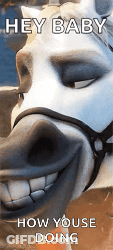 Horse Saying Hey Baby GIF