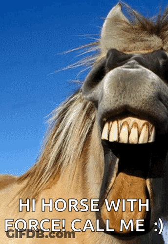 Horse Saying Hi With Force Call Me GIF