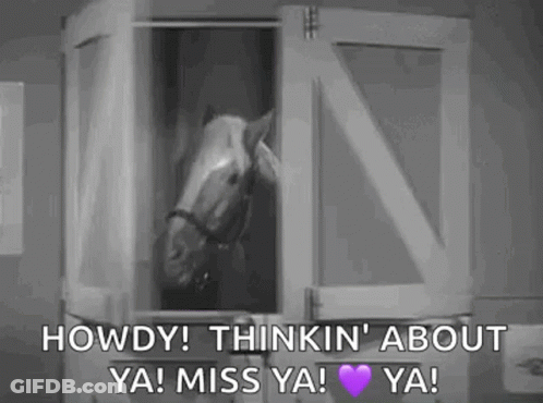 Horse Saying Howdy Miss You GIF