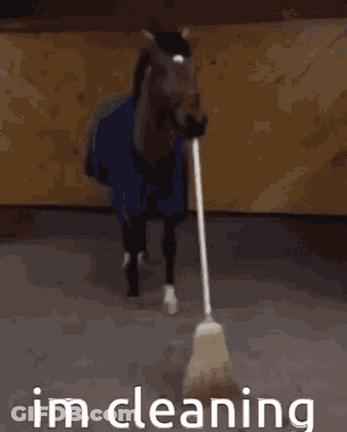 Horse Saying I'm Cleaning While Holding A Broom GIF