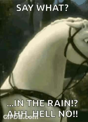 Horse Saying Say What Rain Ahh Hell No GIF