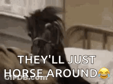 Horse Sitting On Bed With Horse Around GIF