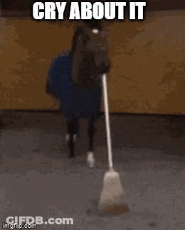 Horse Standing In Stable Holding Broom GIF