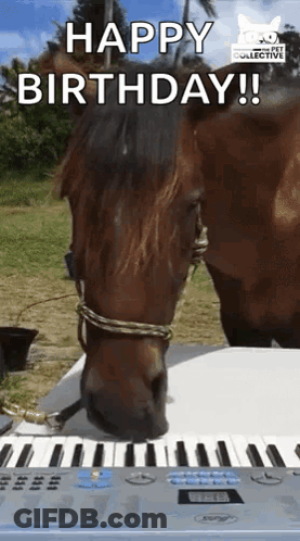 Horse Standing Next To Piano Keyboard Saying Happy Birthday GIF
