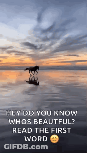 Horse Standing On Top Of Boat In Ocean GIF
