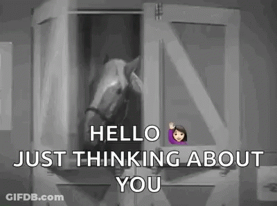 Horse Sticking Head Out Of Barn GIF
